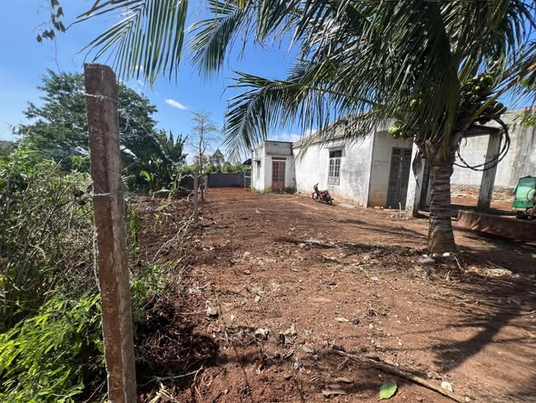 Đất thổ cư Cư Êbur 498m² giá 2.2 tỷ - Tiềm năng đầu tư lớn!