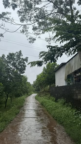 Đất thổ cư đẹp Thịnh Đức 1000m² giá 4.5 tỷ - Đầu tư sinh lời ngay!