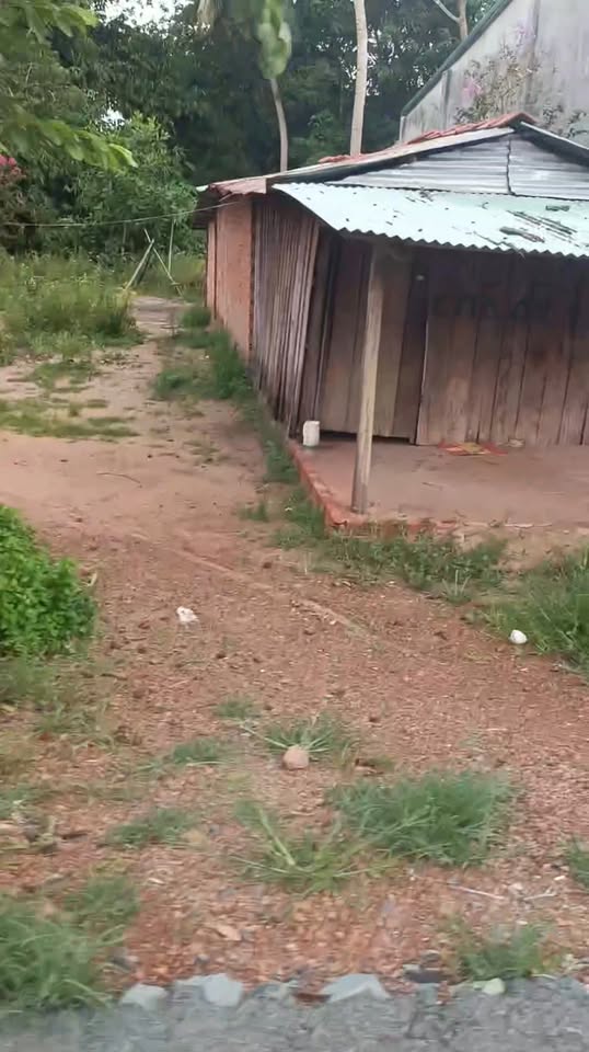 Đất nền Tân Hòa, Tân Châu 400m² chỉ 1.4 tỷ - Cơ hội đầu tư hấp dẫn!