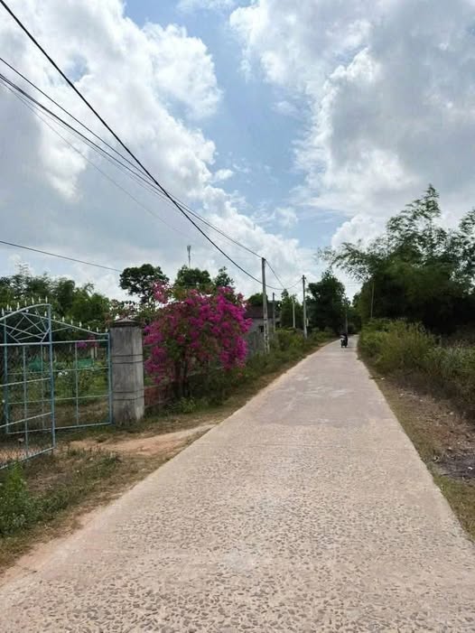 Đất nền Cát Tân, Phù Cát 165.5m² giá chỉ 200 triệu - Cơ hội đầu tư hấp dẫn!