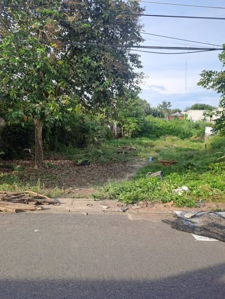 Đất thổ cư 240m² tại ấp Phước Lợi, Long Đất - Giá 2 tỷ, thương lượng ngay!