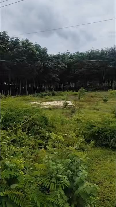 Đất mặt tiền đường Quang Minh Chơn Thành 100m² - Cơ hội đầu tư tuyệt vời!