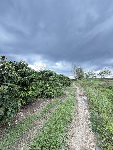 Đất nền Tân Hà Lâm Hà 18,000m² chỉ 300 triệu - Cơ hội đầu tư hấp dẫn!