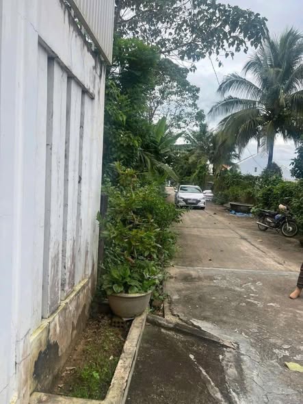 Đất thổ cư đường Nguyễn Khuyến, Thắng Lợi 250m² - Gần chợ và trường học!