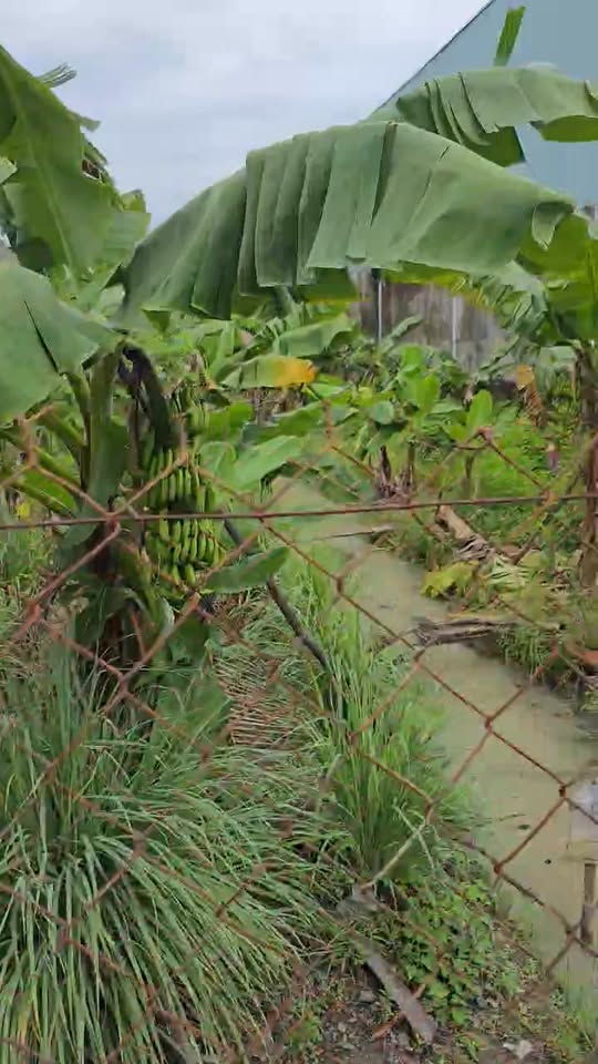 Đất nền đẹp tại đường Vĩnh Phú 38, Thuận An 943m² giá 22 tỷ - Đầu tư sinh lời ngay!