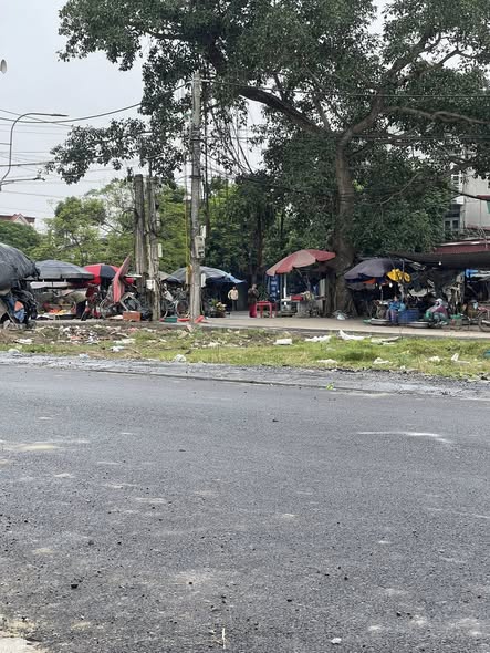 Đất nền Hồng Châu Hưng Yên 85m² giá chỉ 3 tỷ - Vị trí đắc địa, kinh doanh thuận lợi!