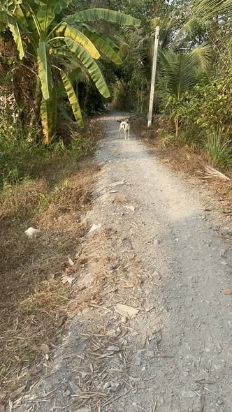 Đất nền Hựu Thạnh, Đức Hòa, Long An 90m² giá 800 triệu - Sổ hồng thổ cư 100%!