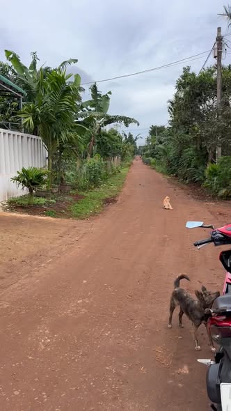 Đất nền Ea Hồ Krông Năng 215m² giá chỉ 300 triệu - Đầu tư sinh lời ngay!