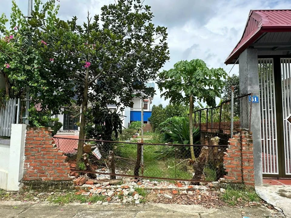 Đất nền lô góc 96m² Tân Minh, Sóc Sơn - Đường ô tô tránh, giá thỏa thuận!