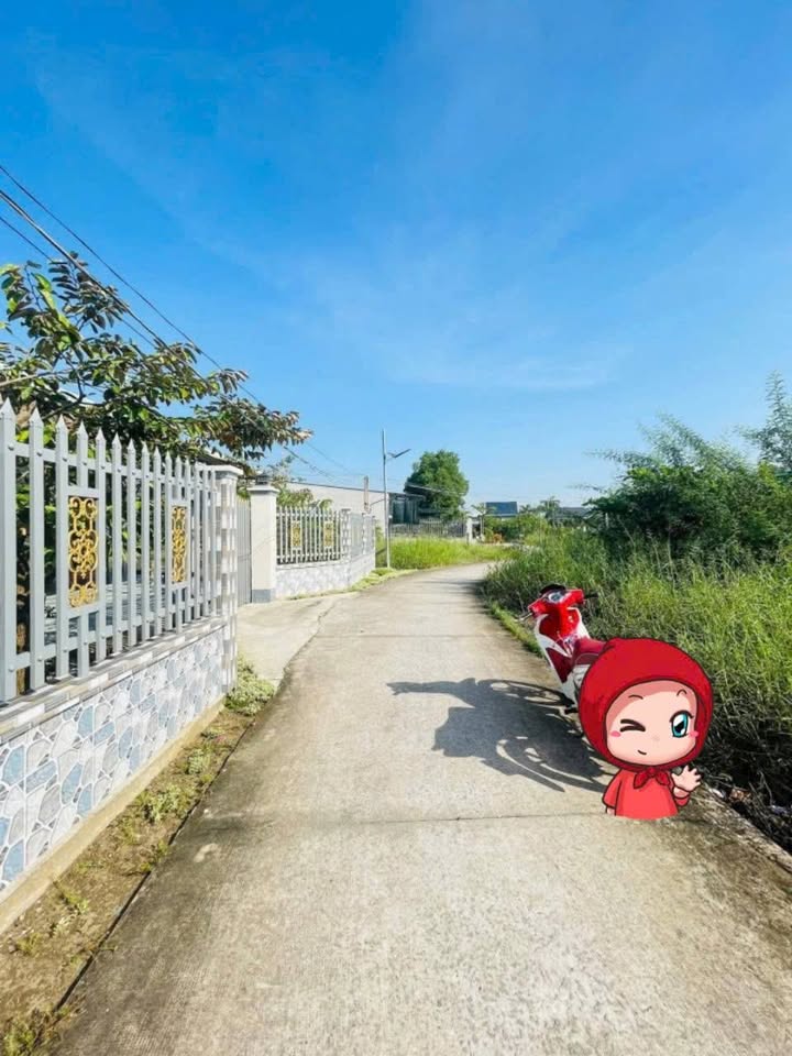 Đất thổ cư Cần Giuộc 119m² giá chỉ 1.08 tỷ - Cơ hội đầu tư hấp dẫn!