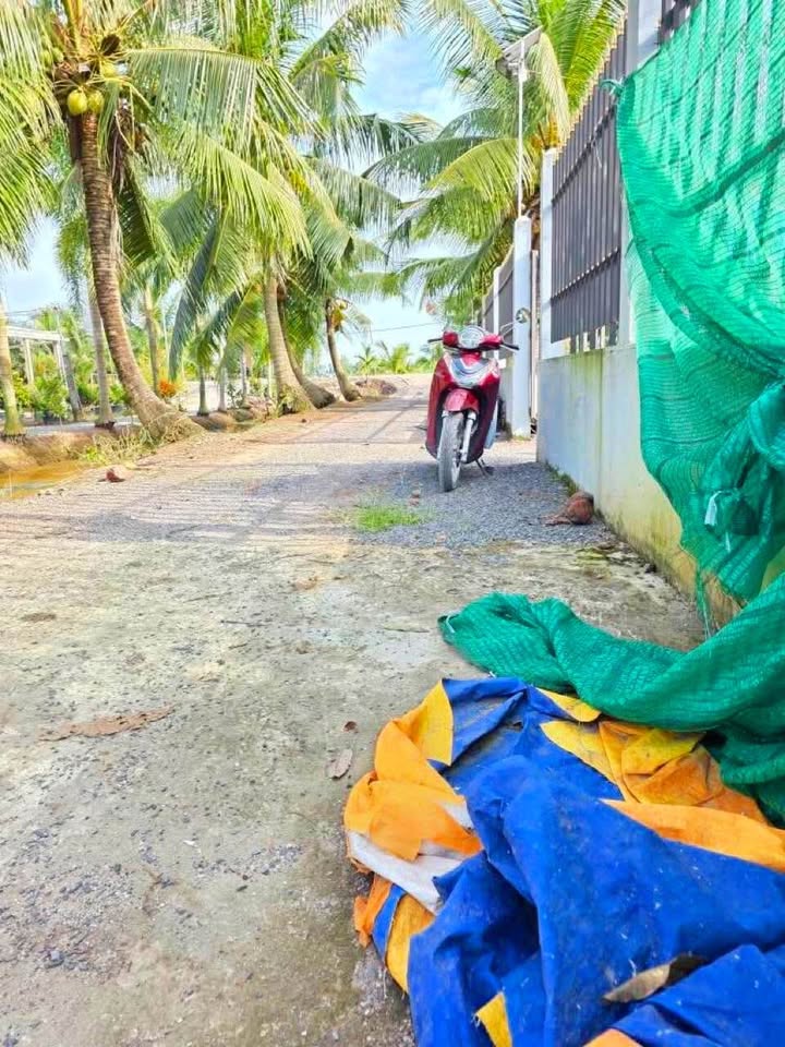 Đất vườn 2000m² tại xã Tân Thành, Thủ Thừa - Giá chỉ 2.396 tỷ, Sổ hồng riêng!