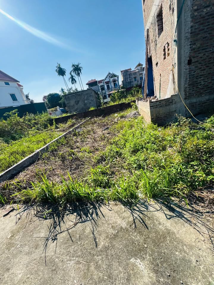 Đất thổ cư Thư Phú 49.7m² giá 2 tỷ - Ô tô vào tận đất!