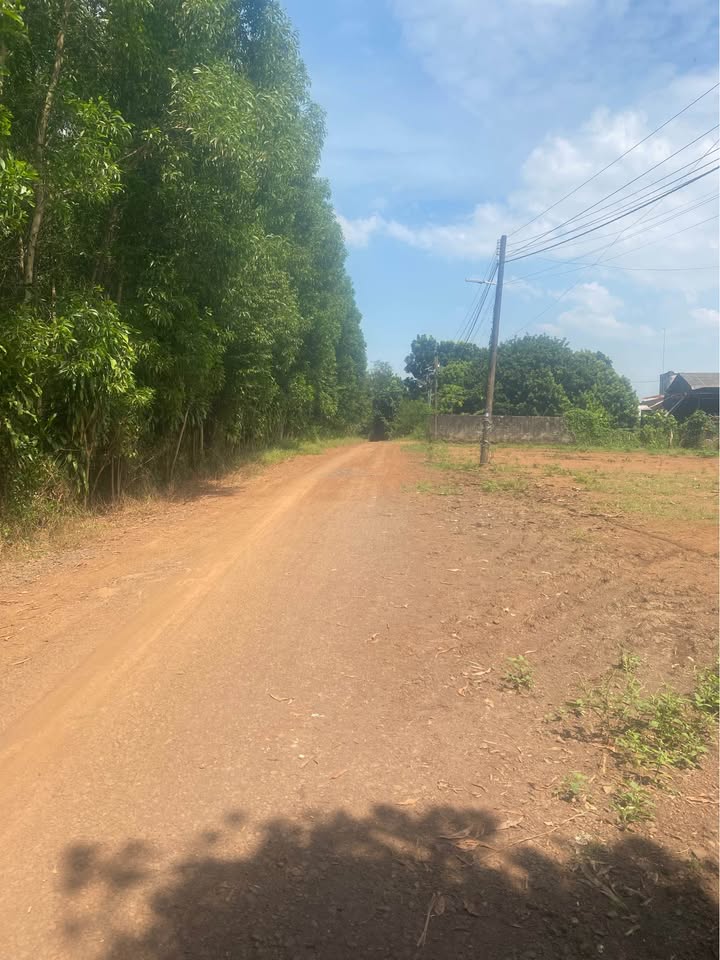 Đất thổ cư 100m² Sông Trầu, Trảng Bom - Bán gấp 4 tỷ