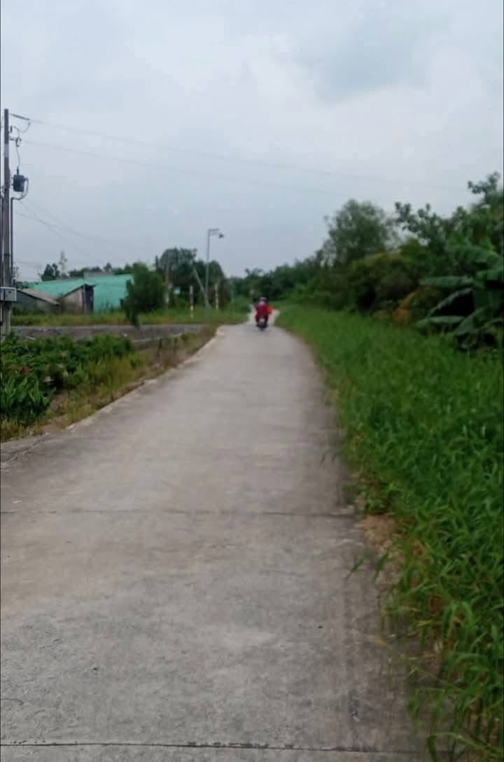 Đất vườn Lương Bình 4800m² giá 4.8 tỷ - Khu nghỉ dưỡng lý tưởng