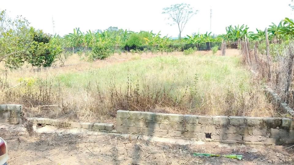 Đất vườn 174m² tại Sài Sơn, Quốc Oai - Chính chủ bán gấp chỉ 500 triệu!