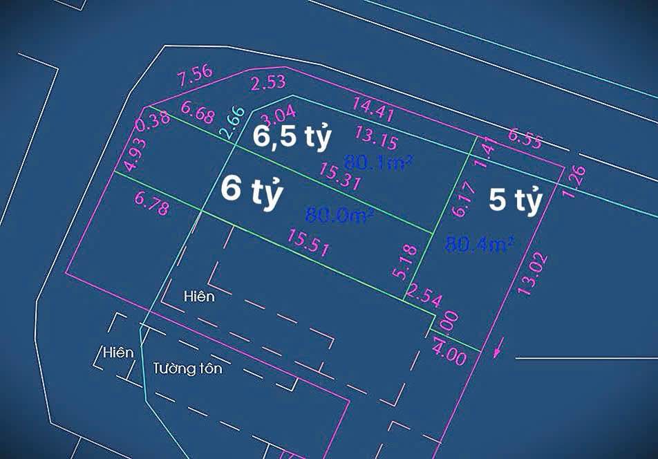 Đất Mặt Tiền Kinh Doanh Đường Tân Xuân 4, Hóc Môn - 113.16m² - Đầu Tư Sinh Lời!