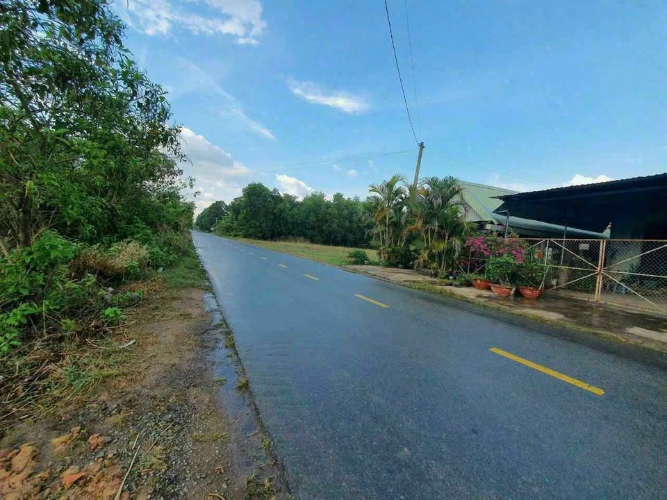 Đất nền khu dân cư An Nhơn Tây Củ Chi 18.739m² giá 112.434 tỷ - Cơ hội đầu tư tuyệt vời!