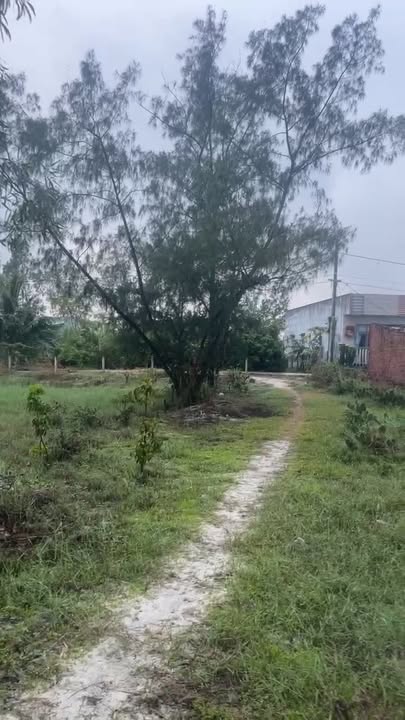 Lô đất 3 mặt tiền tại xã Bình Tú, Thăng Bình, 400m² - Cơ hội đầu tư tuyệt vời!