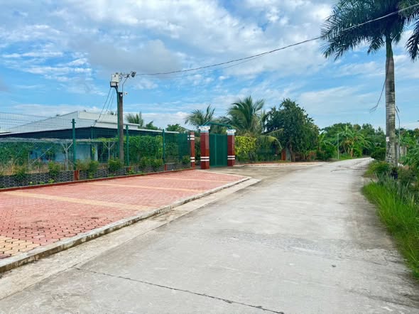 Đất vườn Cà Mau 300m² giá chỉ 540 triệu - Mặt tiền cao ráo, hướng Đông!