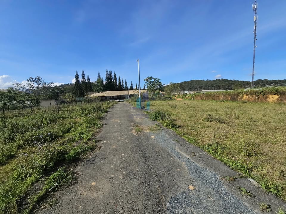 Đất nền đẹp tại đường Măng Line, Đà Lạt 204m² chỉ 5 tỷ - Sổ riêng, xây dựng ngay!