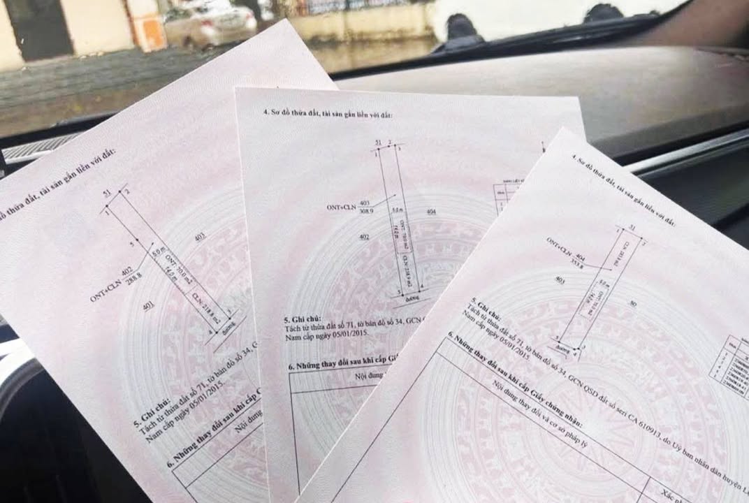 Đất nền xã Tam Dị, Lục Nam, Bắc Giang 290m² giá chỉ 700 triệu - Cơ hội đầu tư tuyệt vời!