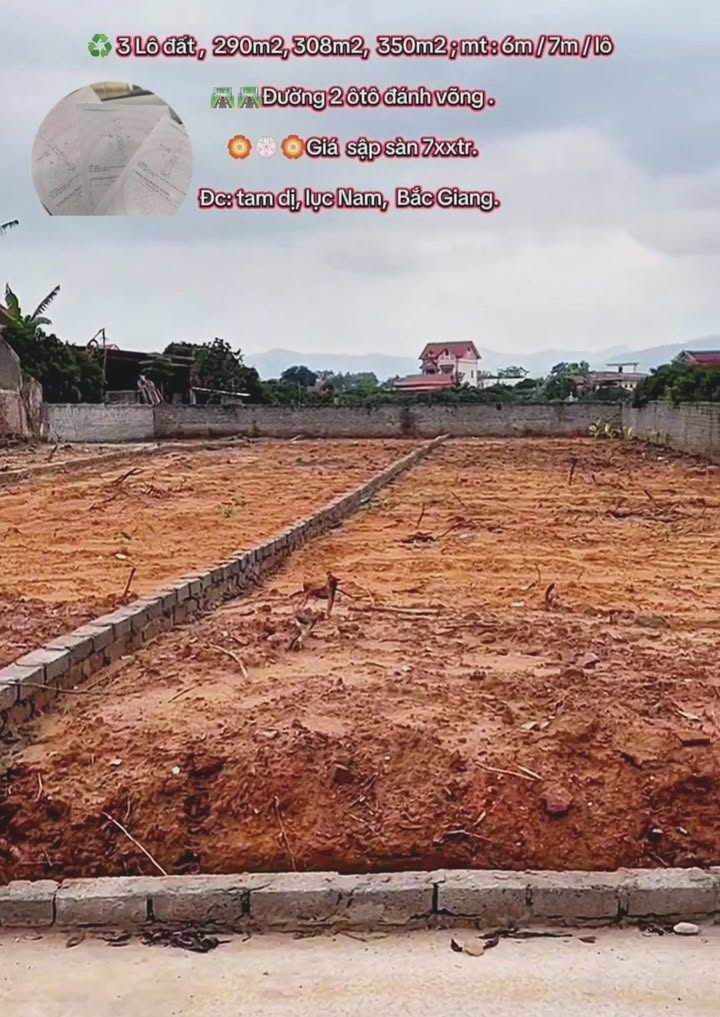 Đất nền liền kề xã Tam Dị, huyện Lục Nam, Bắc Giang 290m² giá 700 triệu - Cơ hội đầu tư tuyệt vời!