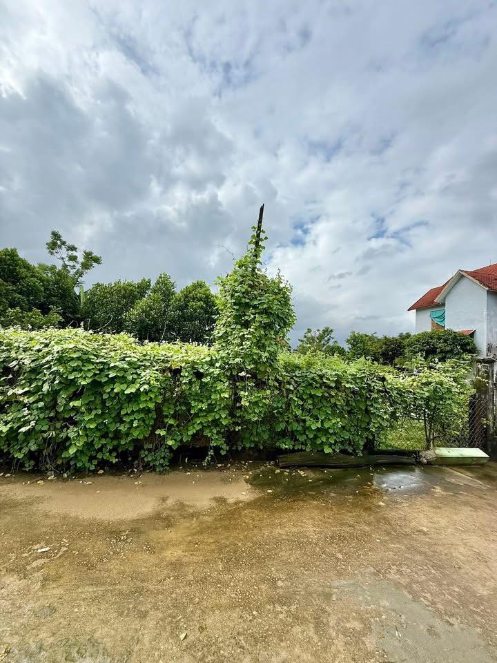 Đất nền mặt tiền Nguyễn Bỉnh Khiêm, 105m² giá 700 triệu - Cơ hội đầu tư tuyệt vời!