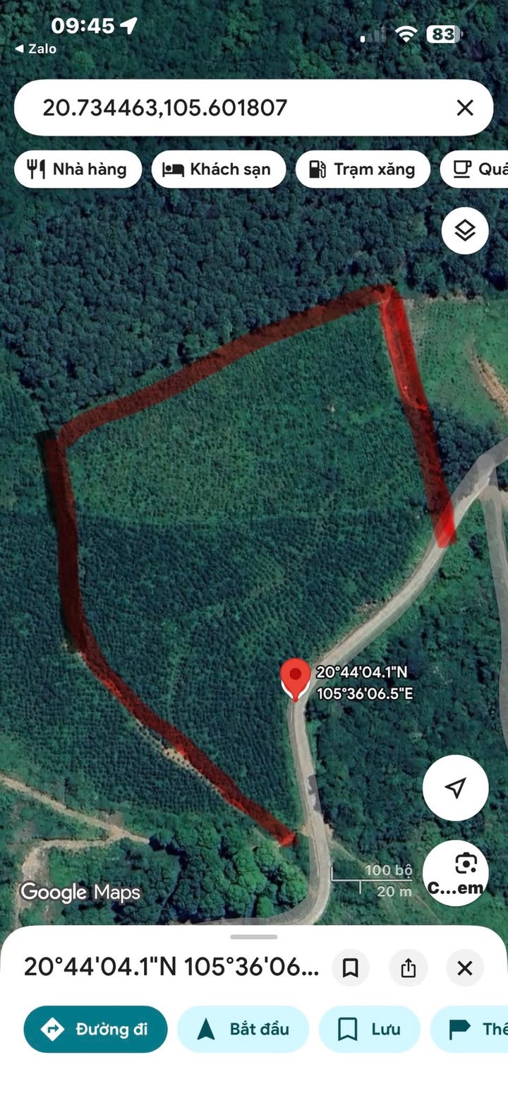 Đất rừng sản xuất Lương Sơn Hòa Bình 1ha giá 1 tỷ - Cơ hội đầu tư hấp dẫn!