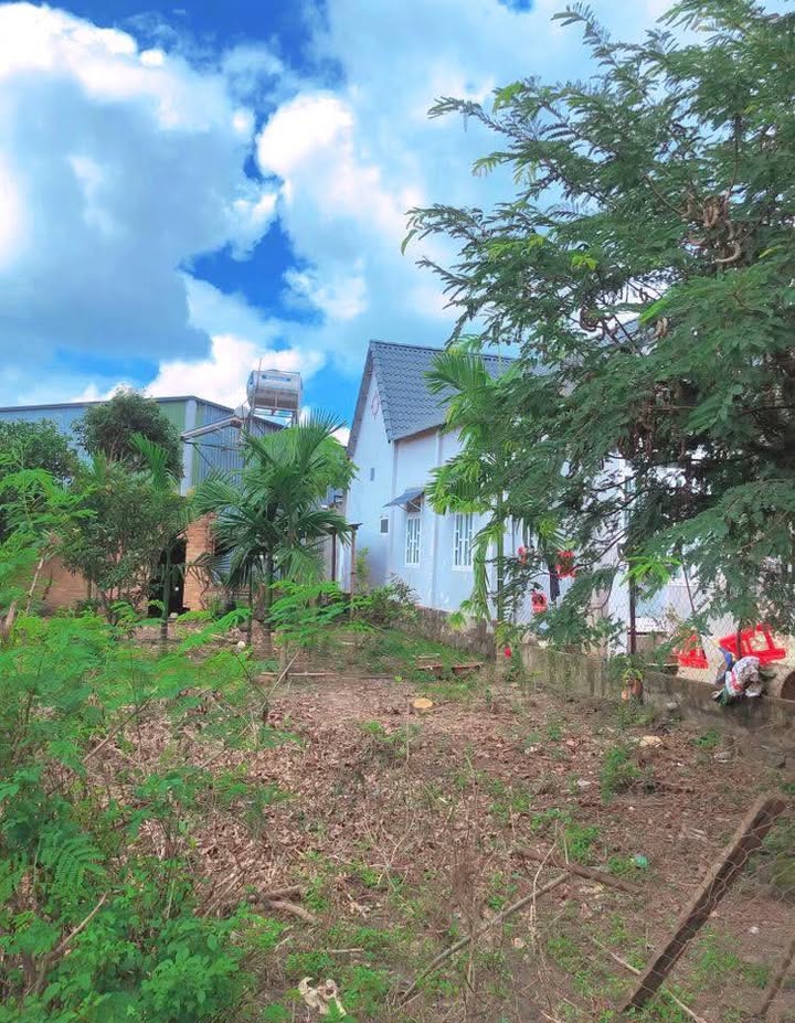 Đất nền tại Cư Kuin, Đắk Lắk 299m² giá 900 triệu - Lô góc hiếm có 2 mặt tiền!