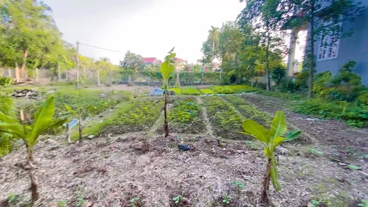 Đất nền thổ cư 118m² tại Ngọc Lâu, Cẩm Hoàng, Hải Dương - Giá tốt cho nhu cầu thực tế!