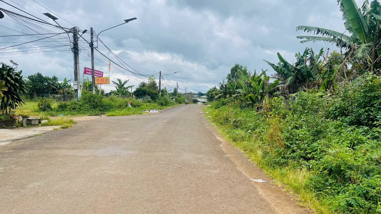 Bán đất mặt tiền Nguyễn Siêu, P. Diên Hồng, Pleiku 190m² - Giá chỉ 1.18 tỷ!