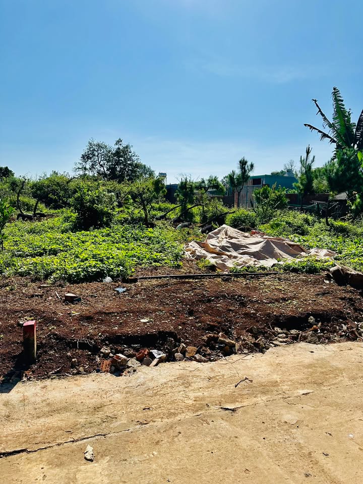 Đất hẻm chính Bùi Viện, P An Phú, 132m² giá 540 triệu - Sổ đỏ chính chủ, công chứng ngay!