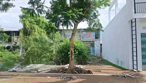 Cặp nền đất KDC Tràng An Bạc Liêu 69.75m² giá 850 triệu - Vị trí đẹp không vướng cột!