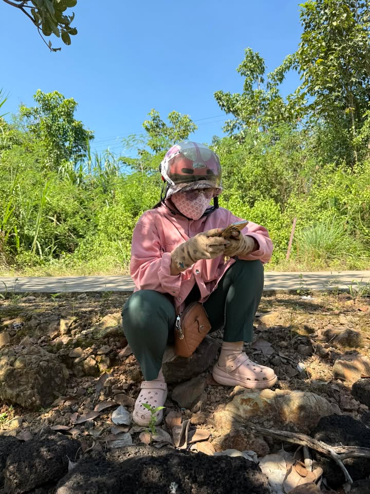 Đất nền Phú Vinh, Đồng Nai 176m² giá chỉ 499 triệu - Đầu tư sinh lời ngay!