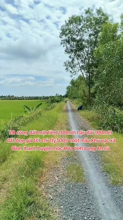 Lô đất farm 20 công tại Bình Thạnh, Mộc Hóa - Đầu tư sinh lời 1.3 tỷ!