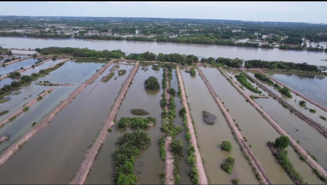 Farm đất nuôi trồng thủy sản 1.3 triệu m² tại Trường Long Hòa - Cơ hội đầu tư hấp dẫn!