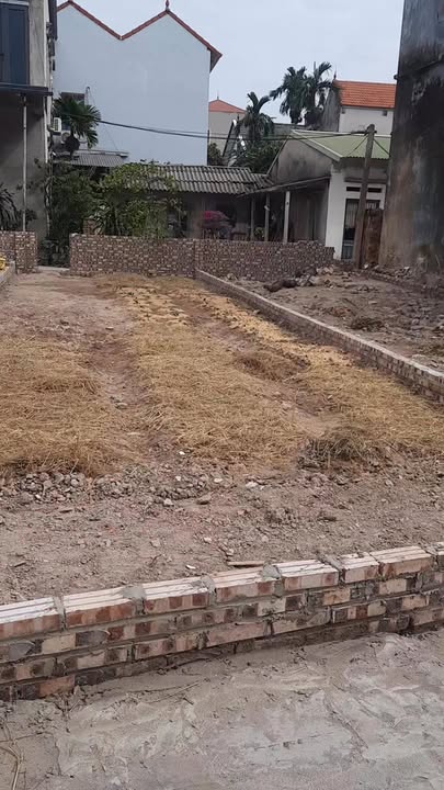 Đất Nền 55m² Phường Ninh Xá, Thuận Thành, Giá Chỉ 1 Tỷ - Sổ Đỏ Chính Chủ