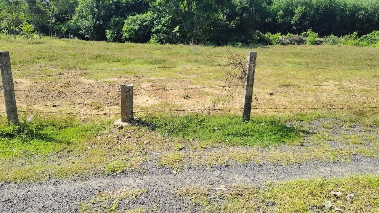 Đất Full Thổ Cư Ninh Tân 213m² giá chỉ 299 triệu - Cơ hội đầu tư tuyệt vời!