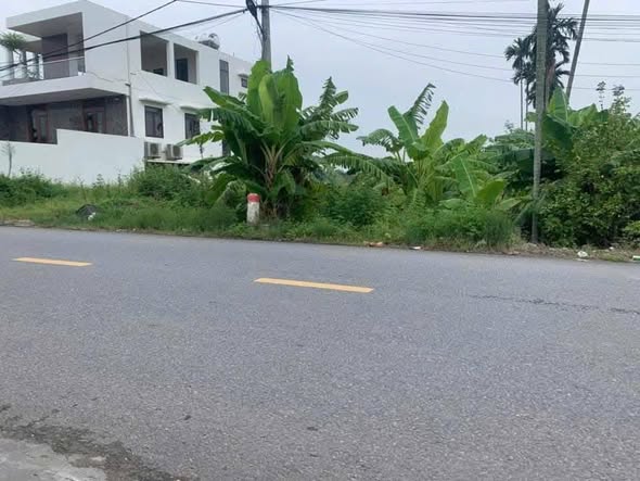 Đất nền Tứ Kỳ Hải Dương 177m² giá 2.2 tỷ - Vị trí đắc địa kinh doanh thuận lợi!