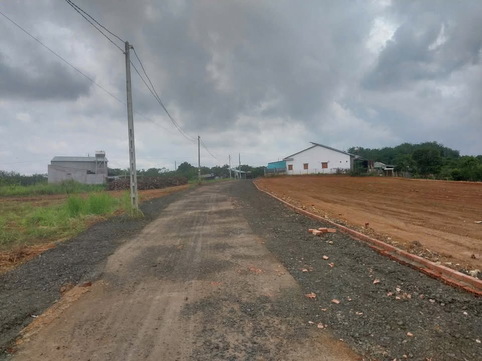 Đất thổ cư 350m² tại Đồng Tâm, Đồng Phú - Giá chỉ 90 triệu, tiện ích đầy đủ!