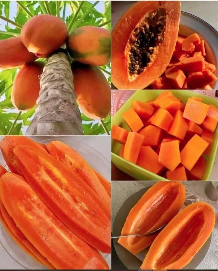 Đất lúa 3.593m² Phường Thới An Đông, Cần Thơ - Bán gấp giá 3.5 tỷ!