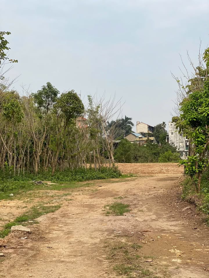 Đất nền Tiểu Khu 9 Lương Sơn 6450m² giá chỉ 3 triệu/m² - Cơ hội đầu tư hấp dẫn!