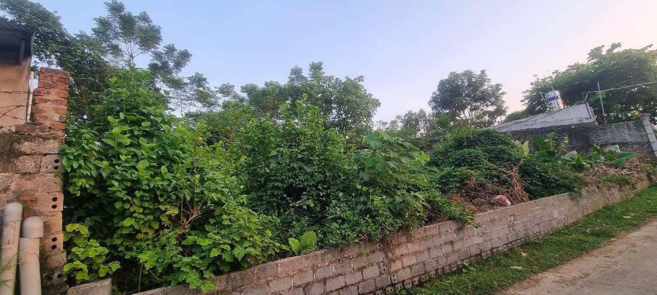 Đất nền Nhuận Trạch 1004m² giá thỏa thuận - Mặt tiền 20m, vị trí tiềm năng!