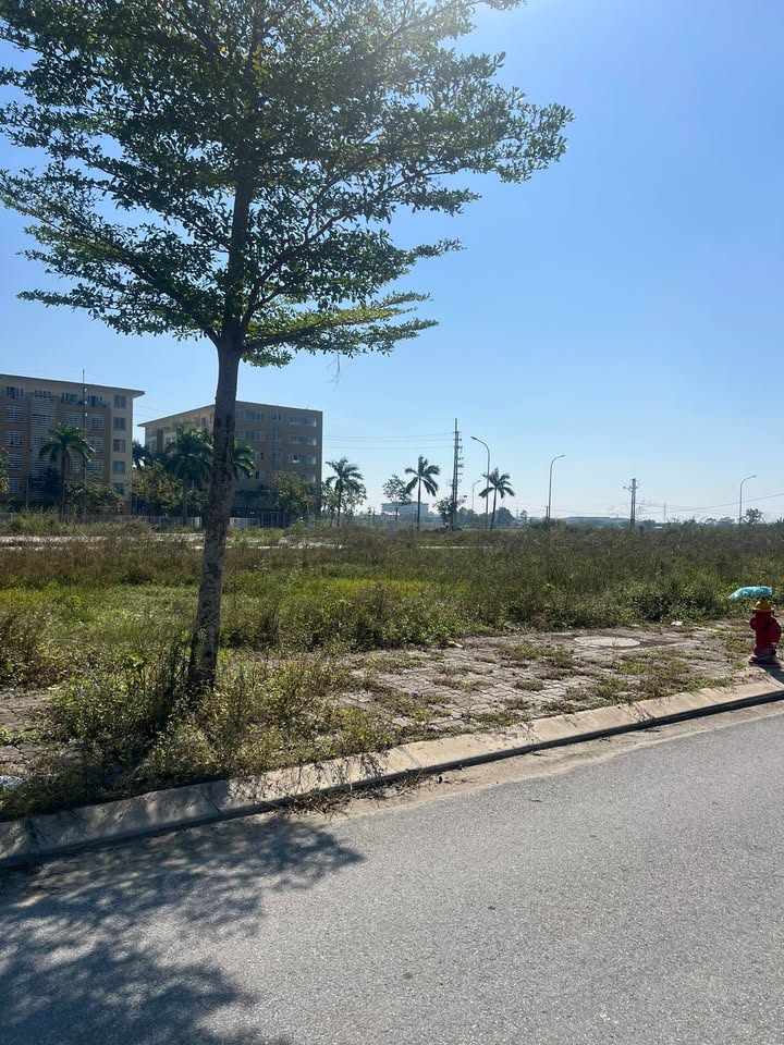 Đất nền Khu đô thị Văn Phú, Đông Yên - 115m² giá 4 tỷ - Cơ hội đầu tư tuyệt vời!