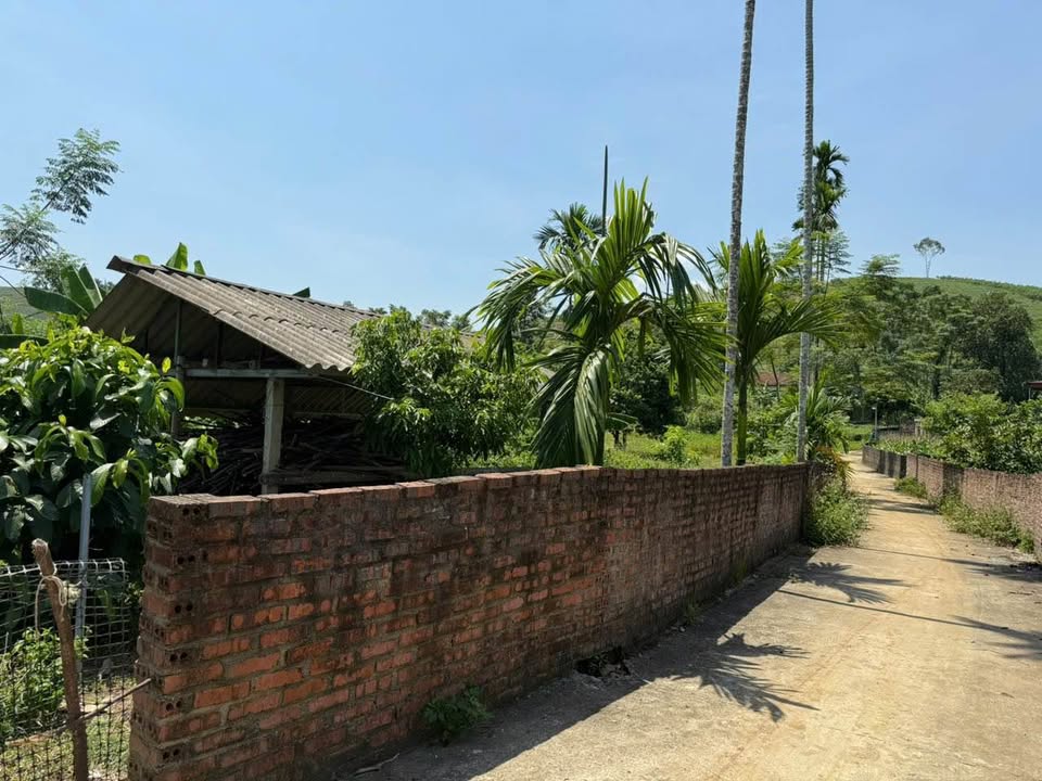 Lô đất đẹp tại Minh Đài, Tân Sơn, Phú Thọ 148m² chỉ 100 triệu - Sổ hồng đầy đủ!