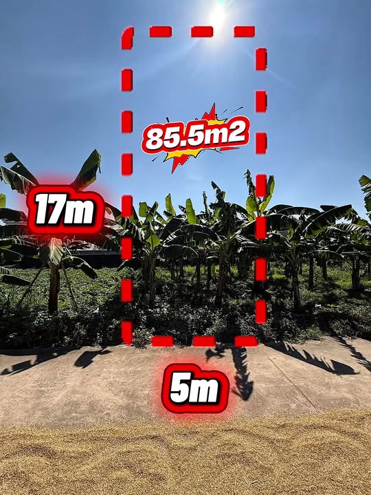 Đất thổ cư Tiên Nha, Lục Nam 82m² giá 600 triệu - Đầu tư sinh lời hấp dẫn!