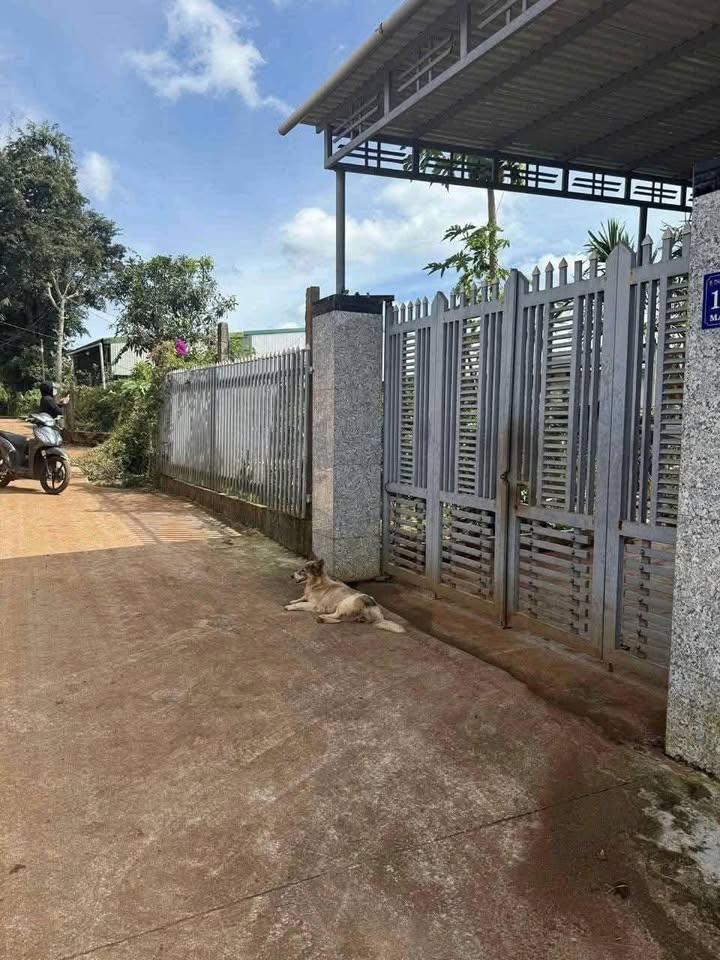 Đất thổ cư Thiện An Buôn Hồ 300m² giá 980 triệu - Đường bê tông xe vào tận nơi!