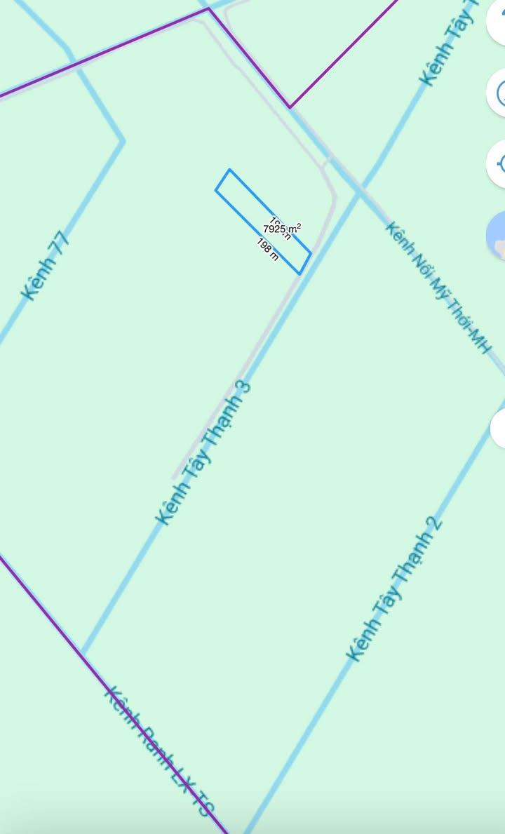 Đất lúa 8000m² tại Mỹ Thới, Long Xuyên - Giá thỏa thuận hấp dẫn!