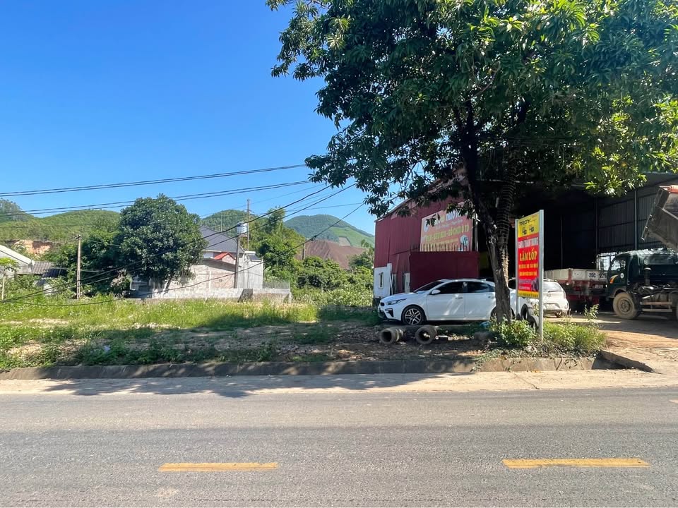 Đất chính chủ đường Linh Sơn 133m² giá 1 tỷ - Kinh doanh tốt!