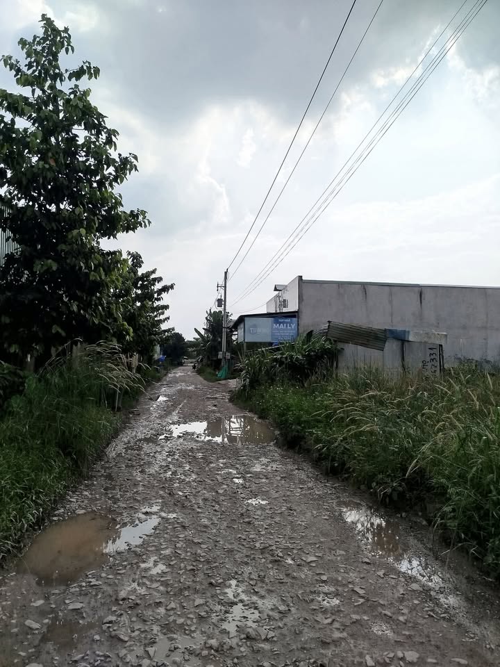 Đất nền Khu phố 1, Phường Hội Nghĩa, Tân Uyên 1268m² giá 6.2 tỷ - Cơ hội đầu tư hiếm có!